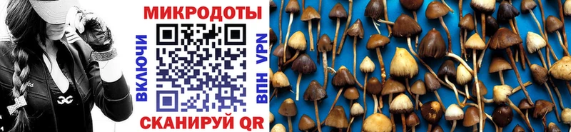 Галлюциногенные грибы мицелий  ОМГ ОМГ ONION  Череповец  продажа наркотиков 